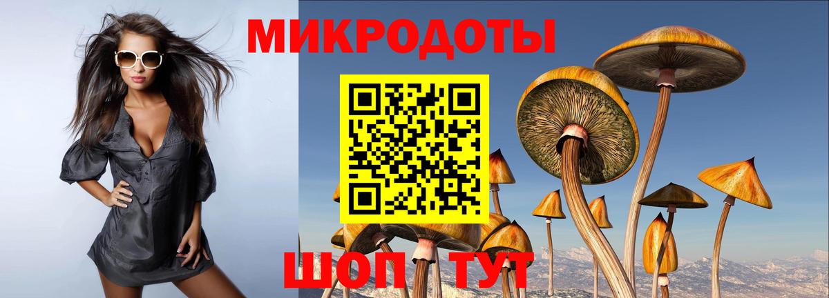 Галлюциногенные грибы MAGIC MUSHROOMS Новодвинск
